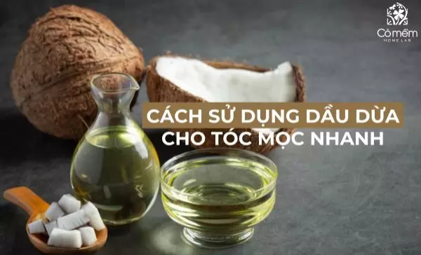 cách sử dụng dầu dừa cho tóc mọc nhanh