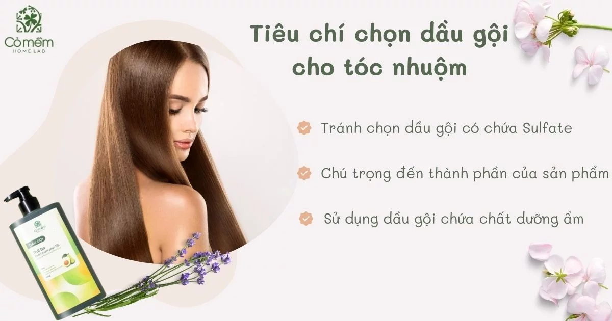 dầu gội cho tóc nhuộm 