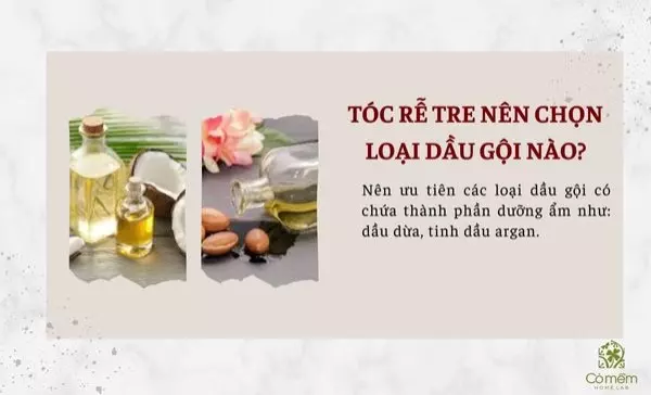 dầu gội cho tóc rễ tre