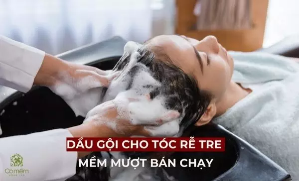 dầu gội cho tóc rễ tre