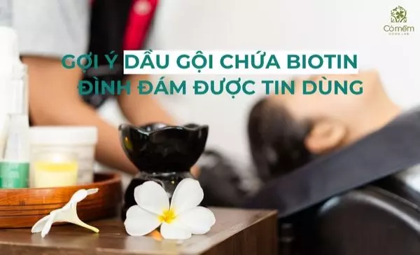 dầu gội chứa biotin