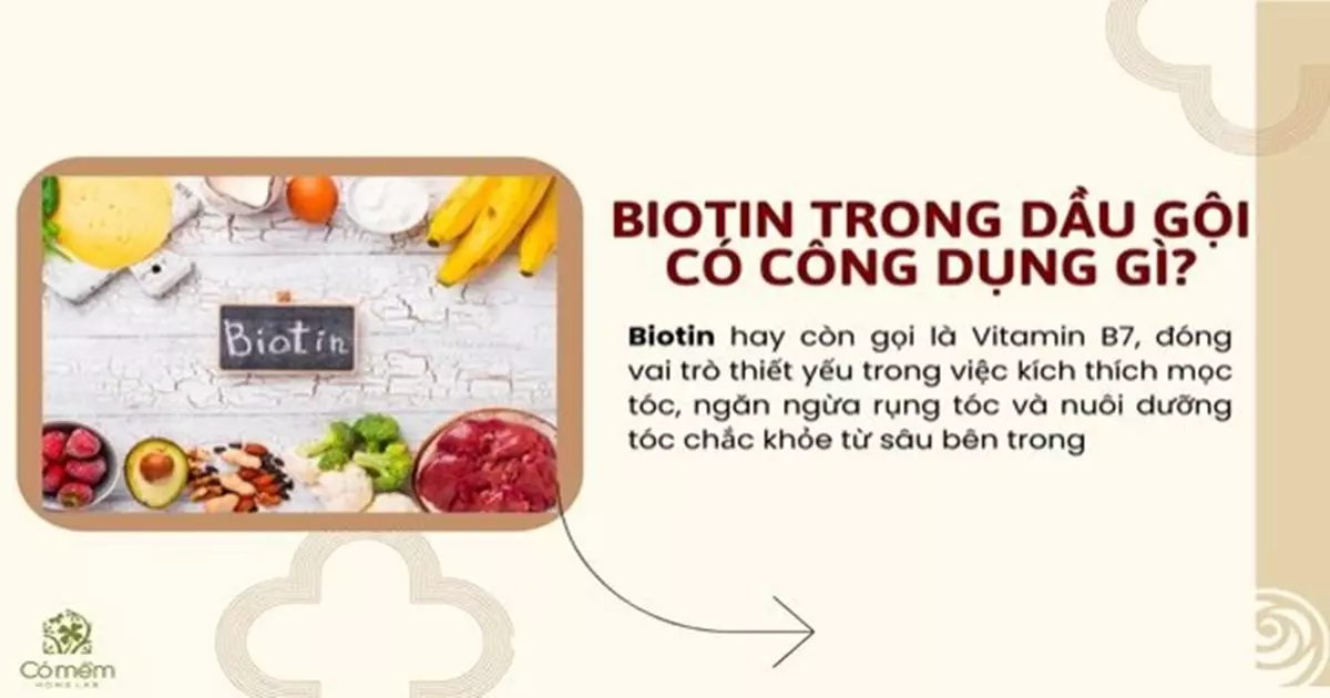 dầu gội chứa biotin