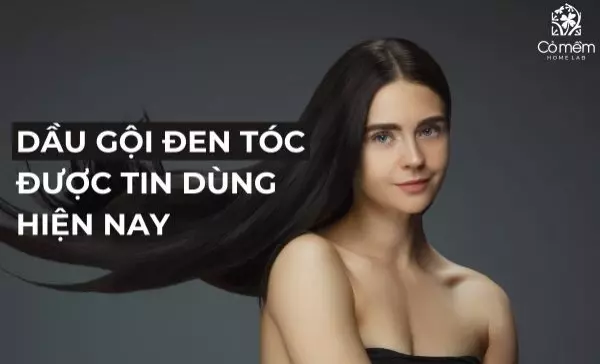 Top 5 dầu gội đen tóc được tin dùng hiện nay