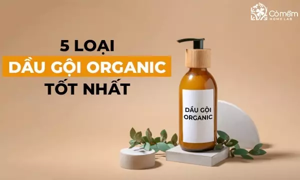 Review 5 dầu gội organic giúp tóc sạch khỏe tự nhiên 2025