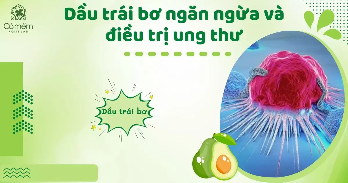 dầu trái bơ