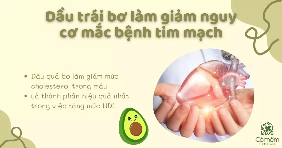 dầu trái bơ