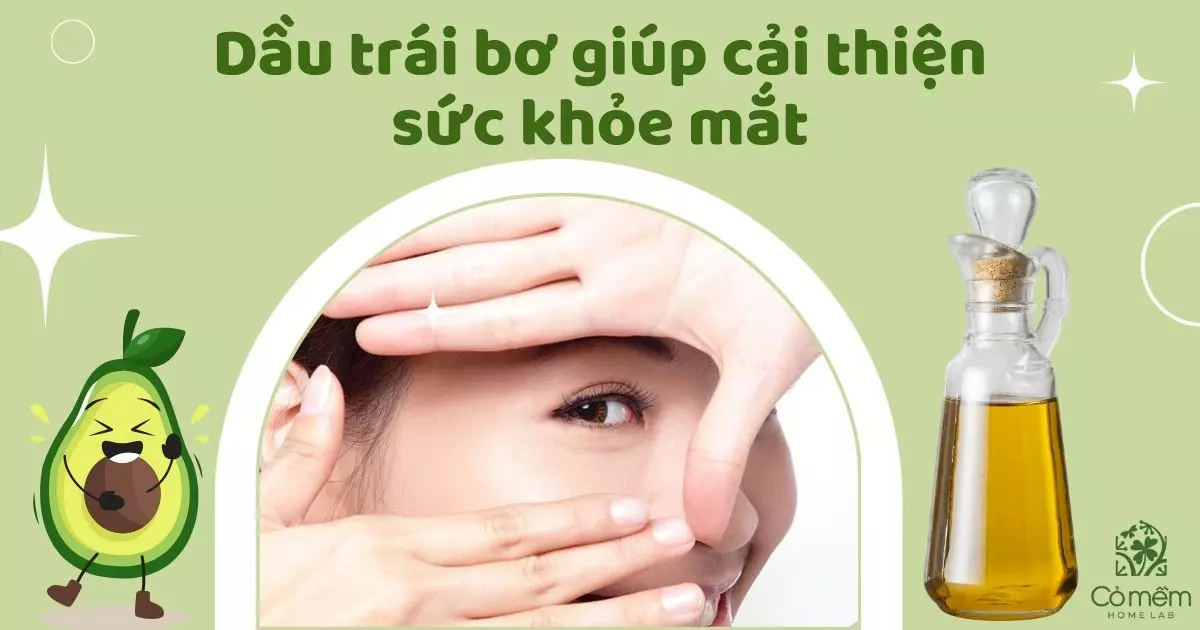 dầu trái bơ