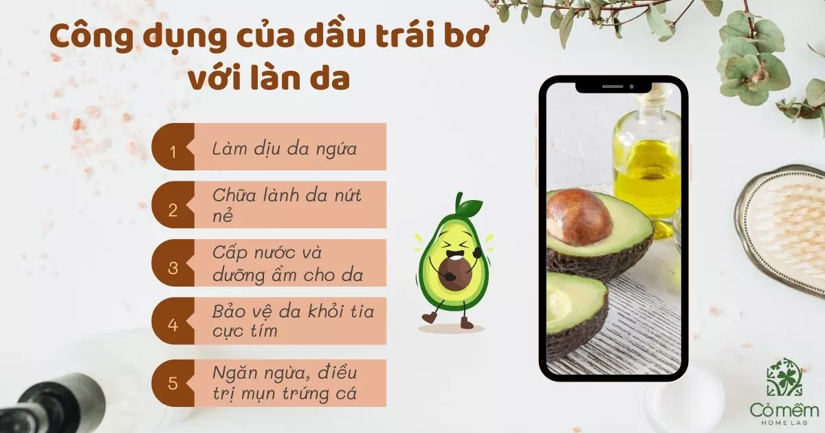 dầu trái bơ