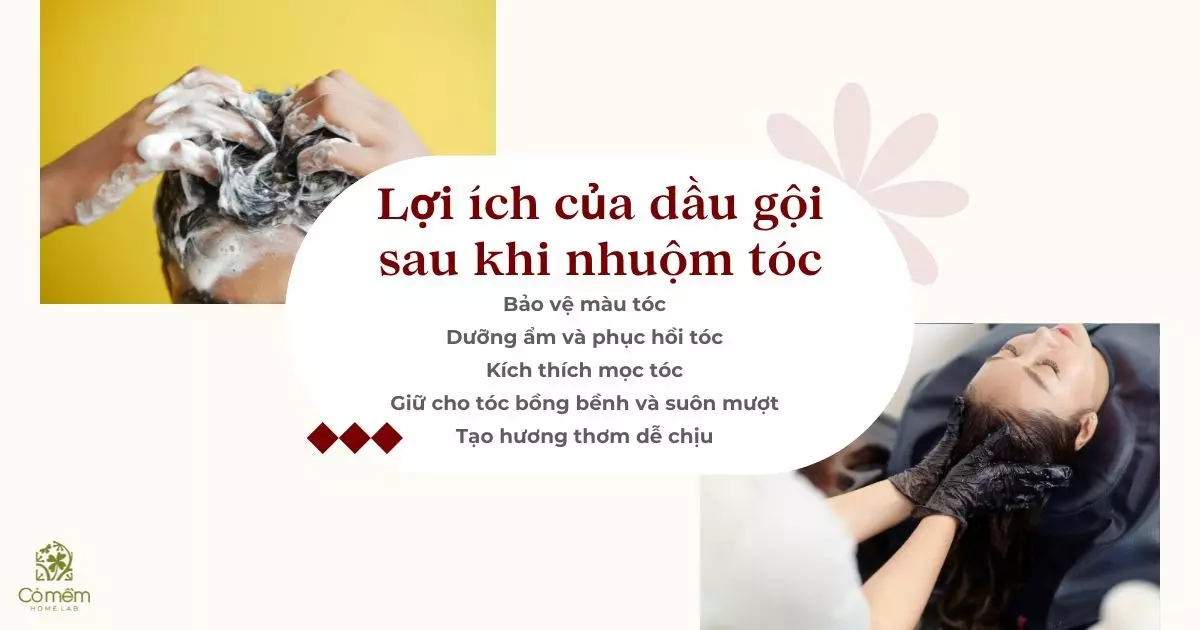 nhuộm tóc xong nên gội dầu gội hay dầu xả