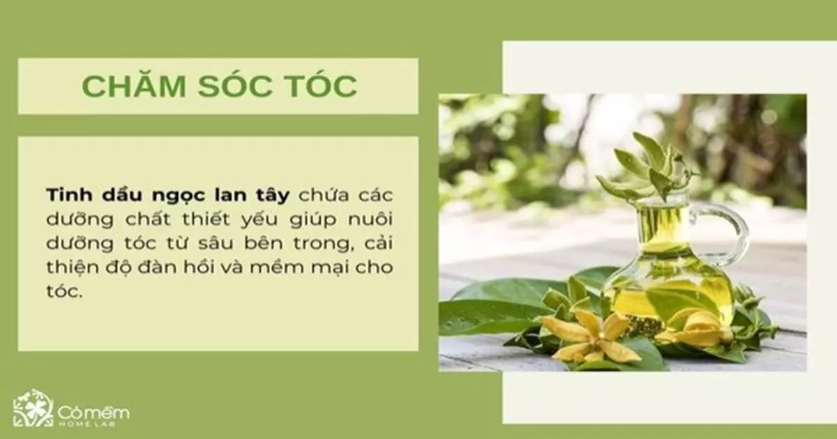 tinh dầu ngọc lan tây