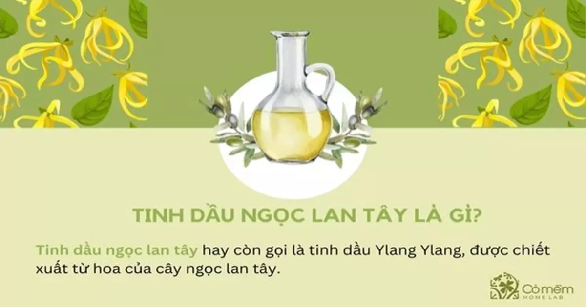 tinh dầu ngọc lan tây