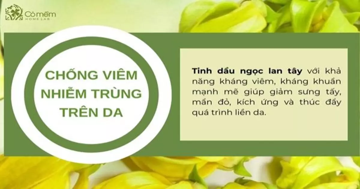 tinh dầu ngọc lan tây