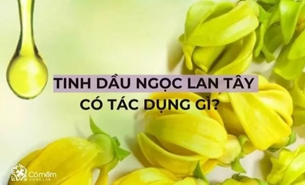 Tinh Dầu Ngọc Lan Tây Có Tác Dụng Gì?