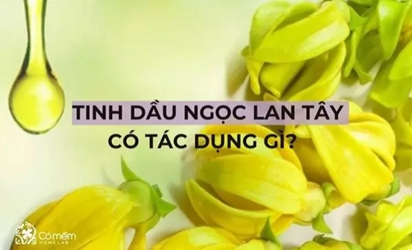 tinh dầu ngọc lan tây