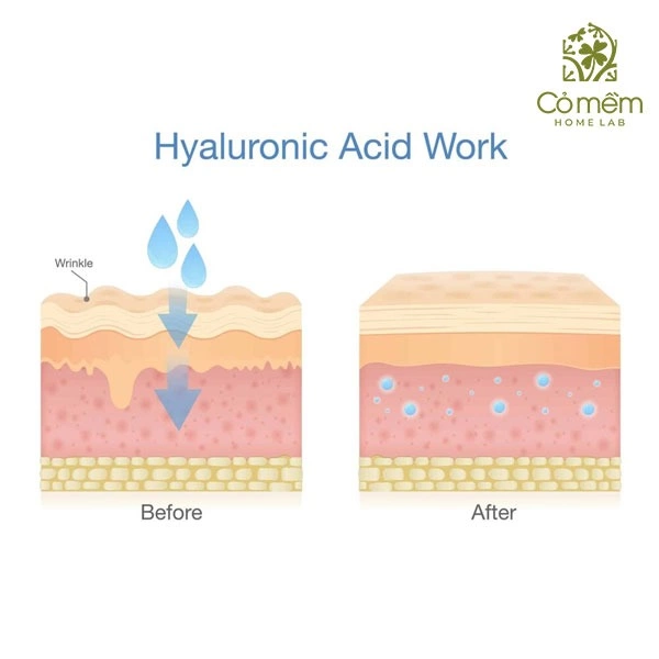 hyaluronic acid