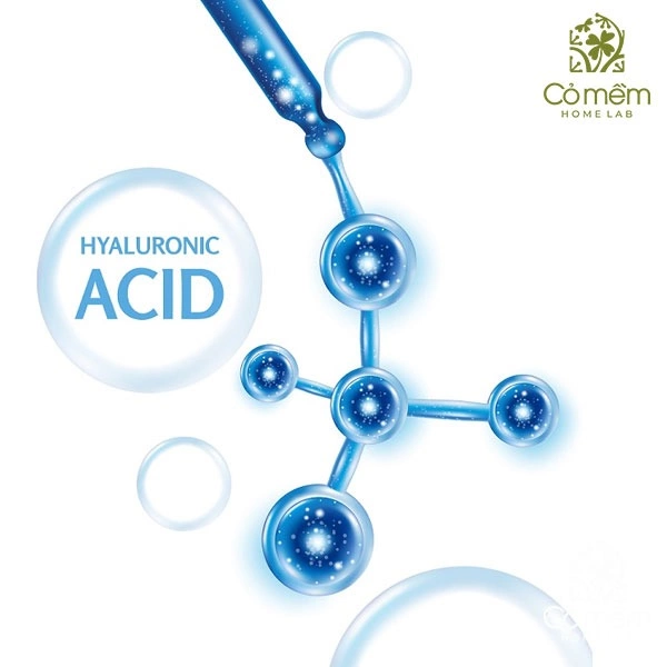 hyaluronic acid