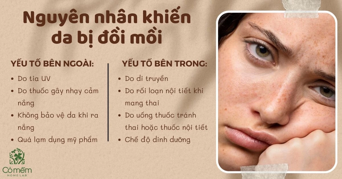 da đồi mồi 