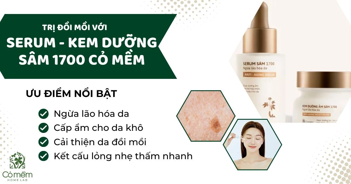 da đồi mồi 