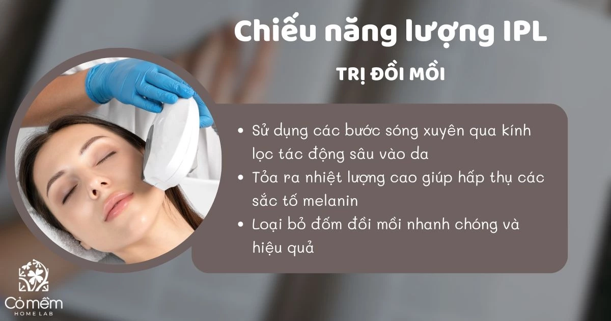 da đồi mồi 