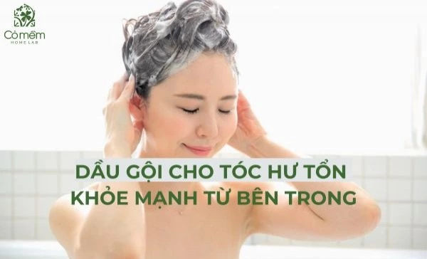 dầu gội cho tóc hư tổn