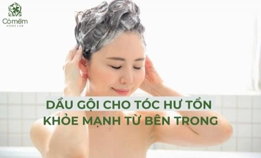 Bật Mí 6 Dầu Gội Cho Tóc Hư Tổn Khỏe Mạnh Từ Bên Trong
