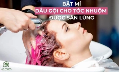 5 Dầu Gội Cho Tóc Nhuộm Giúp Phục Hồi Được Săn Lùng