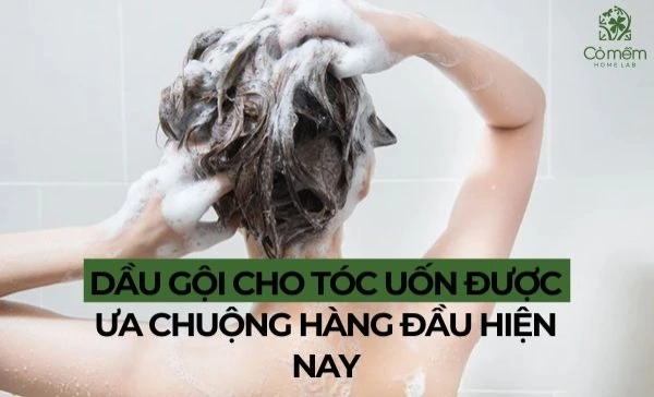 dầu gội cho tóc uốn