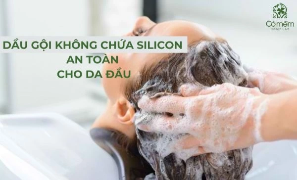 dầu gội không chứa silicon