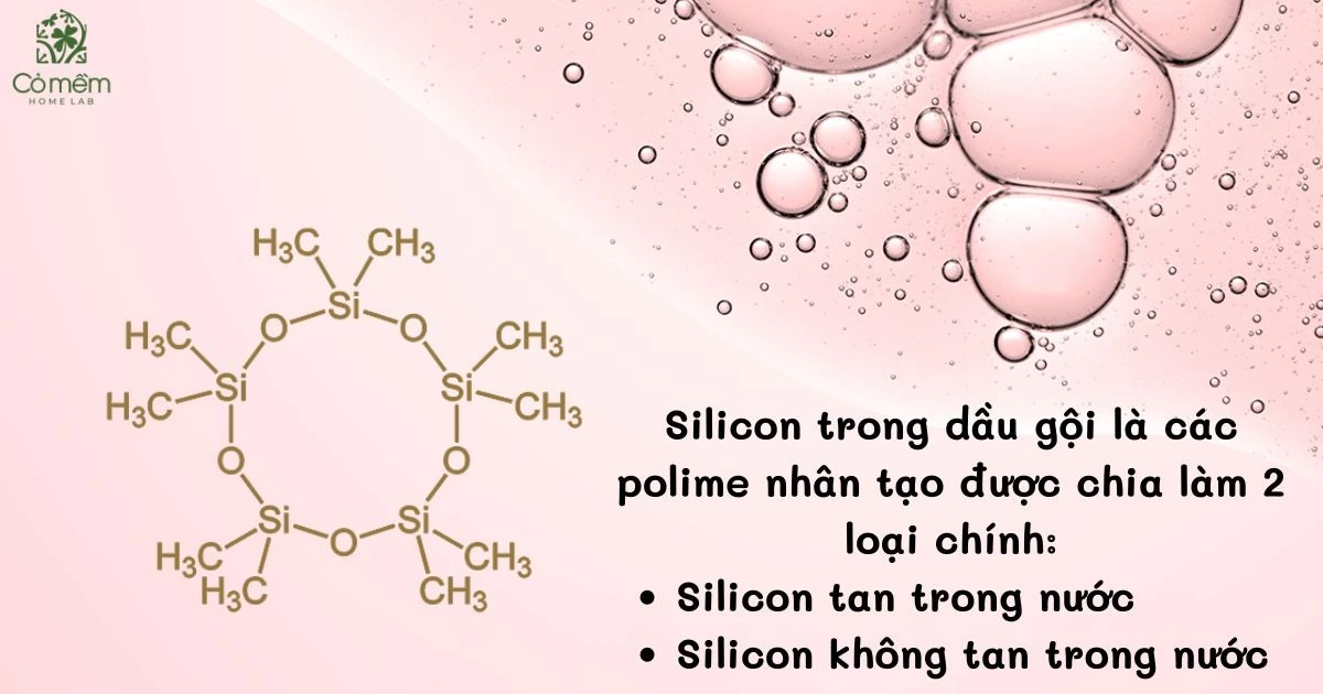 dầu gội không chứa silicon