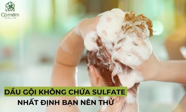 dầu gội không chứa sulfate