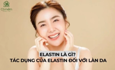 Elastin Là Gì? Tác Dụng Của Elastin Đối Với Làn Da