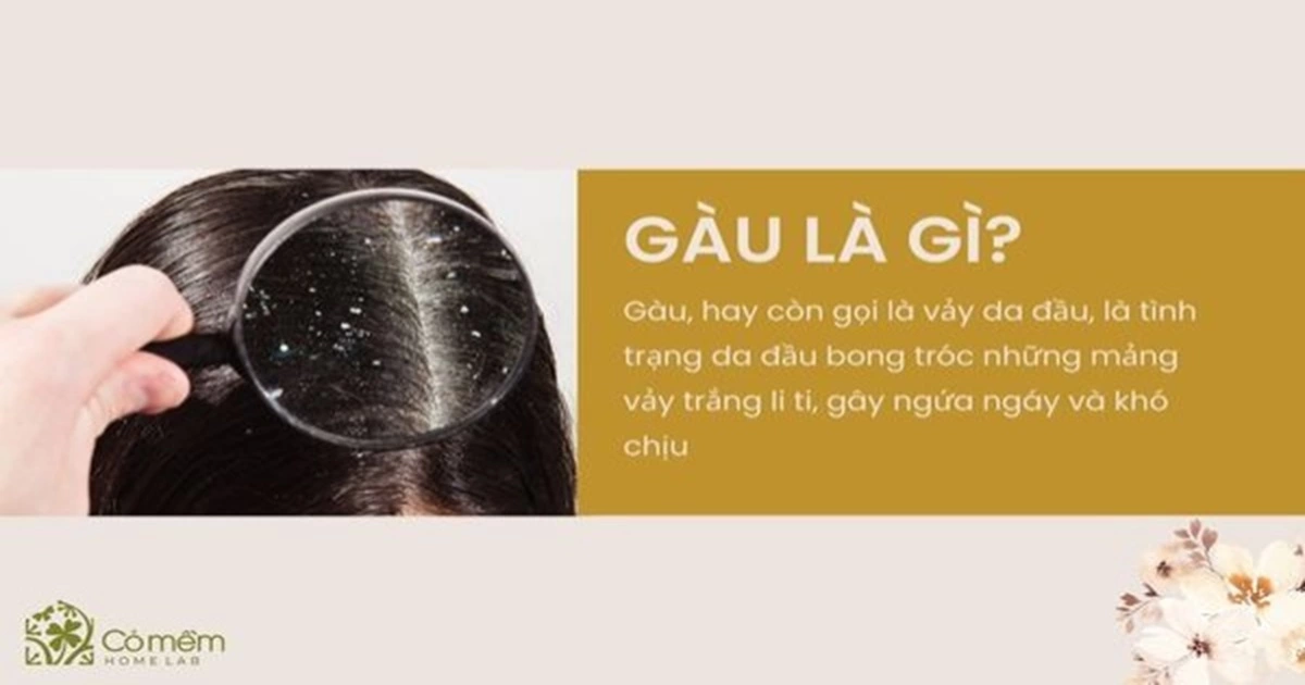 gàu là gì