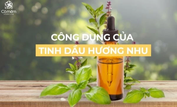 tinh dầu hương nhu