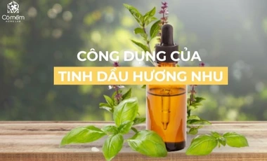 Tìm Hiểu Công Dụng Của Tinh Dầu Hương Nhu Trong Mỹ Phẩm