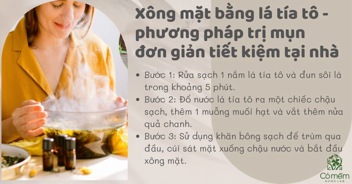 trị mụn bằng lá tía tô 