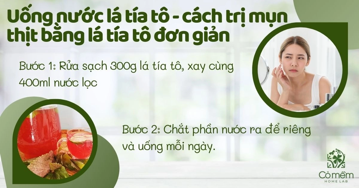 trị mụn bằng lá tía tô 