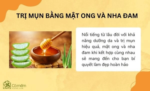 trị mụn bằng mật ong