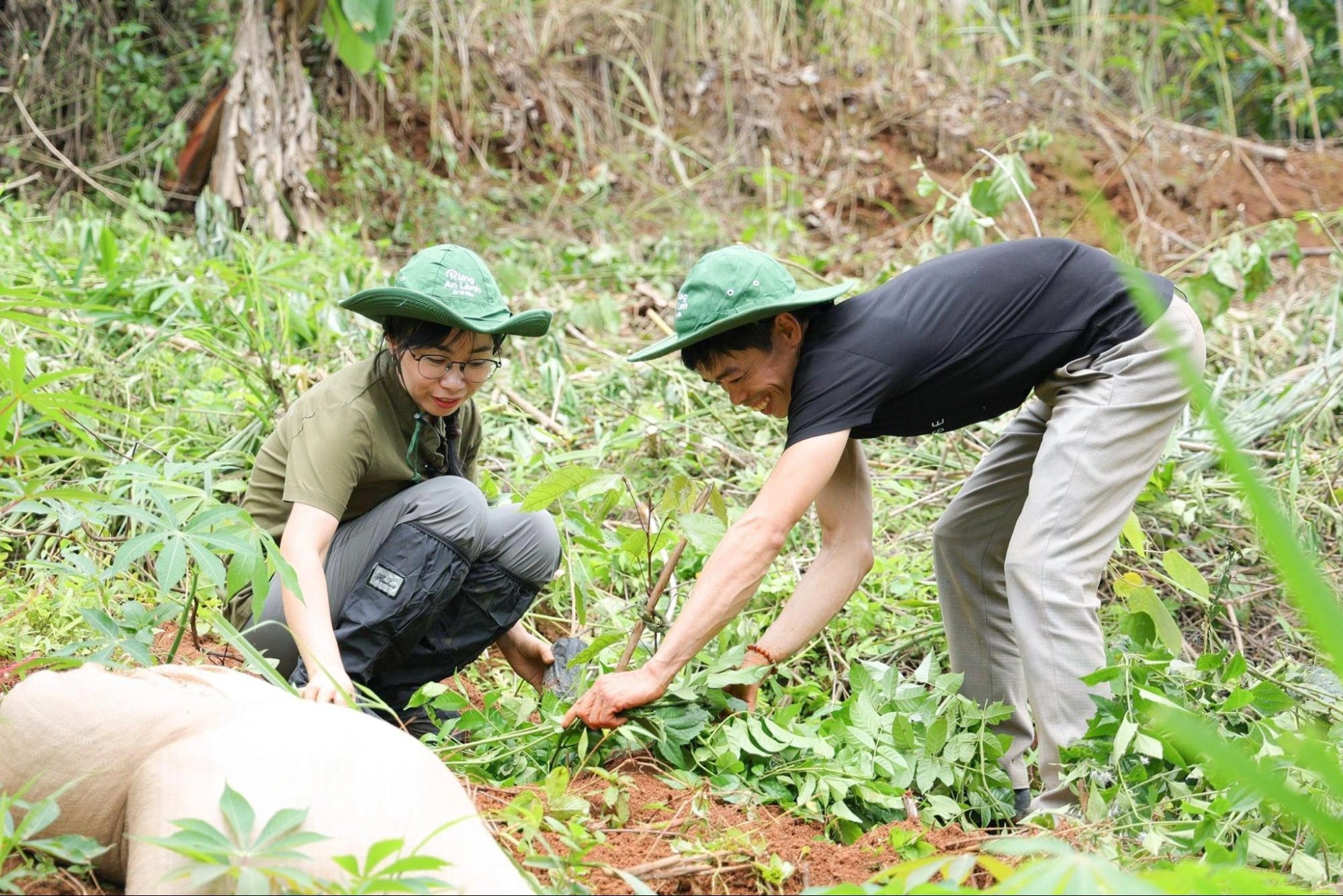 Cỏ Mềm trồng 2ha rừng đầu nguồn, góp phần giảm thiểu tác động của biến đổi khí hậu tại Sơn La