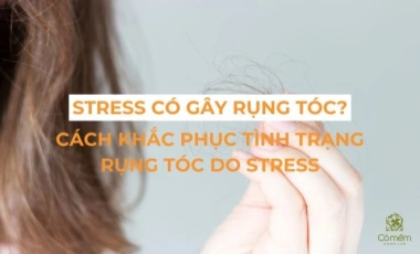 Stress Có Gây Rụng Tóc Không? Cách Khắc Phục Tình Trạng Rụng Tóc Do Stress
