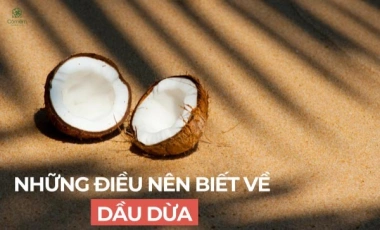 Những Điều Nên Biết Về Dầu Dừa
