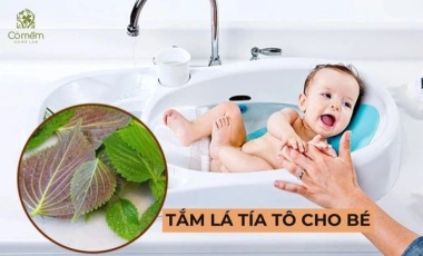 Tắm Lá Tía Tô Cho Bé