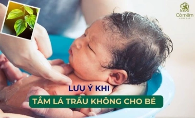  Những Lưu Ý Khi Tắm Lá Trầu Không Các Mẹ Nên Biết