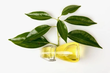 Công Dụng Và Độ An Toàn Của Tinh Dầu Long Não Trên Trẻ Nhỏ
