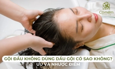 Gội Đầu Không Dùng Dầu Gội Có Sao Không? Ưu Điểm Và Nhược Điểm