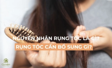 Nguyên Nhân Rụng Tóc Là Gì? Rụng Tóc Cần Bổ Sung Những Gì?