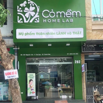 Cỏ Mềm Nguyễn Trãi Thanh Hoá