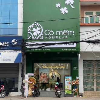 Cỏ Mềm Quảng Nam