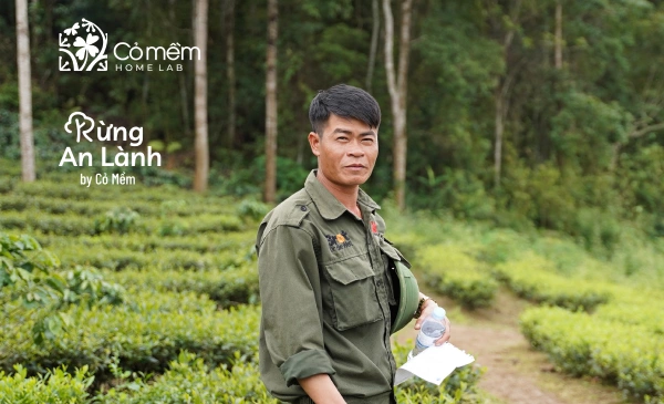 10 năm Cỏ Mềm: Từ mỹ phẩm xanh đến 10.000 cây rừng bền vững