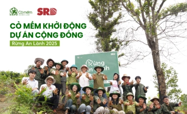 Cỏ Mềm chung tay hồi sinh 6ha rừng tại bản Mầu Thái, Sơn La