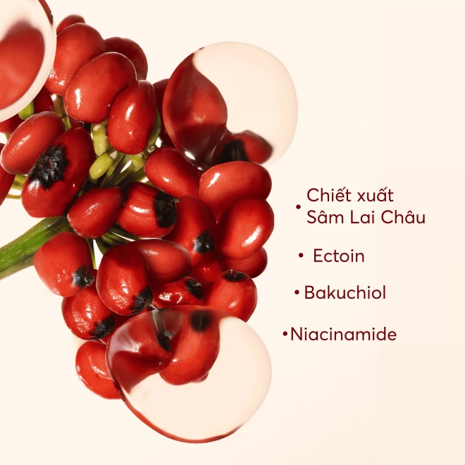 Bộ chăm sóc da Sâm 1700 3 bước